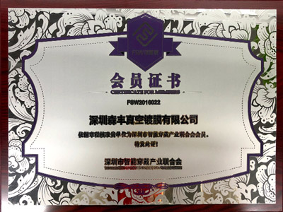 真空糖心VLOG破解免费廠榮譽-國家高新技術企業